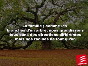 10675576_10152664103190838_1632996772375205152_n