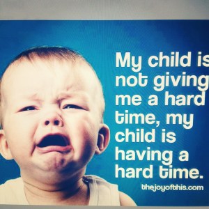 10686754_568962229871737_2041066671439447220_n