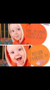 1378793_372977346222767_600388610375929169_n