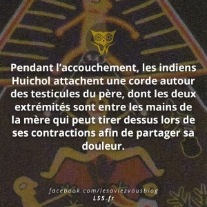 1517413_735483589904128_6307542552998168241_n